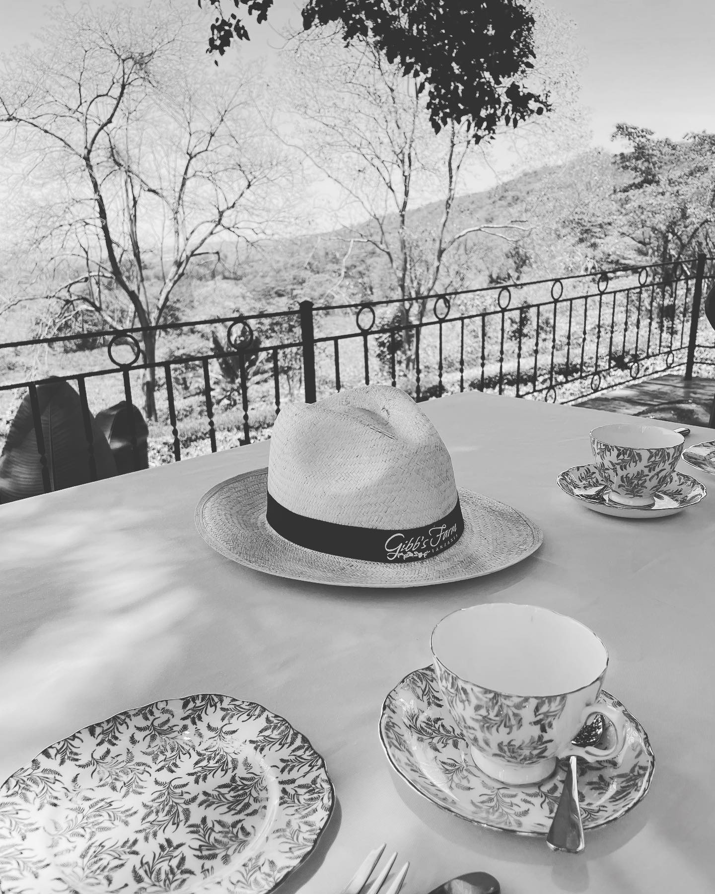 Sunny Sunday with high tea on the yoga platform with views over the coffee plantation…… #views #hightea #sunday #sundayfunday #sunnyday #sunny #tea #coffee #viewsfordays #lazyday #lazy #design #interiordesign #panama #hat #panamahat