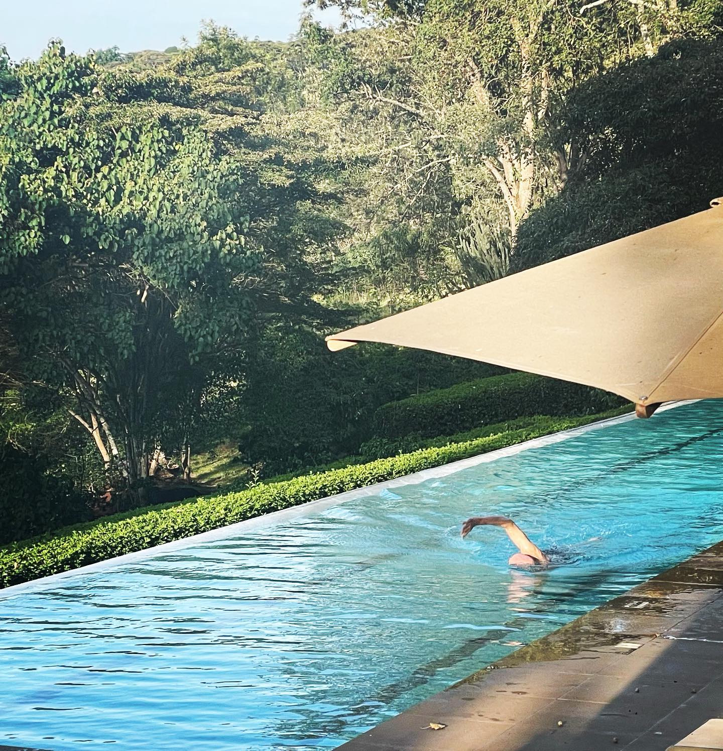 Diving in to Monday! One of our lovely guests kicking off his stay with laps in the 25metre pool whilst the coffee beans are being roasted and the bird chorus welcomes a new day and the start of a new week. #swim #swimming #laps #training #fitness #wellness #health #healthy #healthylifestyle #wellbeing #morning #routine #newday