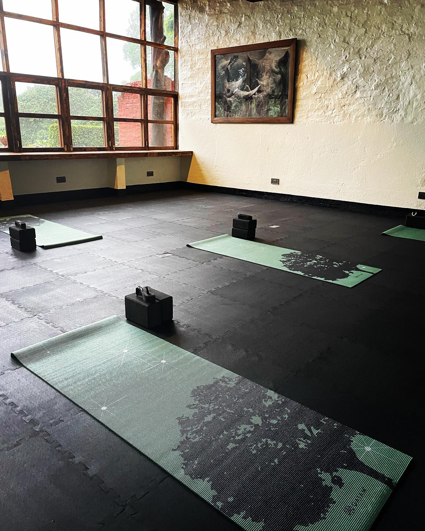 Starting a rainy day with a gentle stretch on our new #gaiam mats #yoga #studio #om #omandflow #asana #sunsalutation #wellbeing #wellnesstravel #wellness #zen #breathe #vinyasa @gaiam