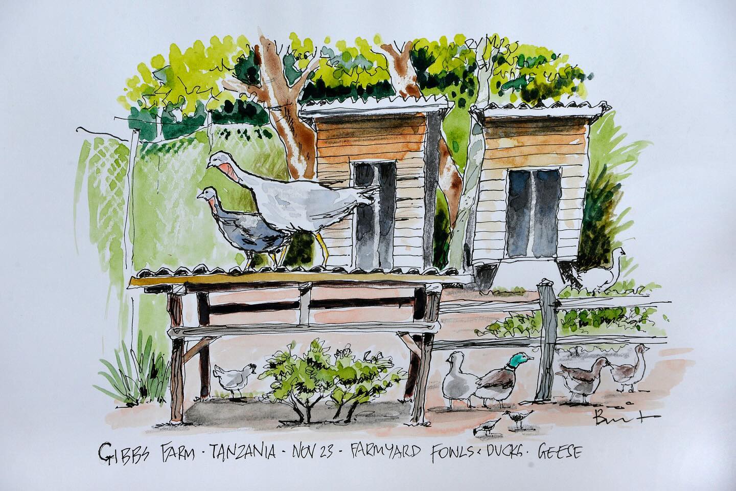 When guests capture their impressions through sketches #sketch #sketchdaily #art #artsafari #sketchsafari #sketchtravel #sketchdestinations #impression #appreciate
