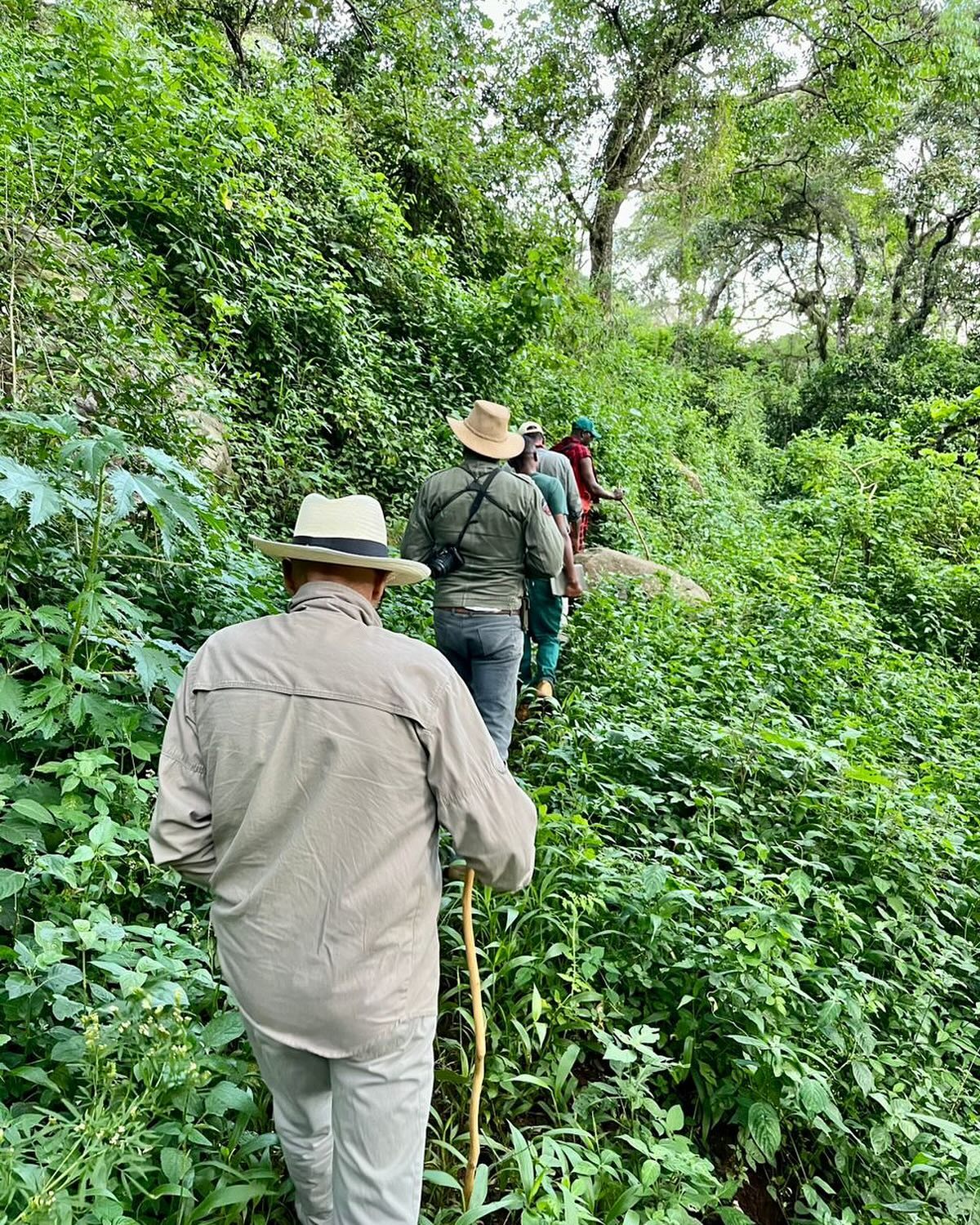 On Sundays we stroll. An invigorating hike to the elephant caves and waterfalls. Oxygen enriched environment, embraced by nature, calm relaxed and energised all at the same time. #hike #walk #slowsafari #calm #nature #safari #trekking #sundayfunday #outdoor