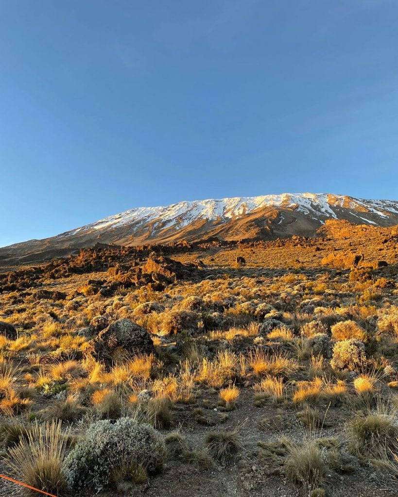 Snow capped peak on Kilimanjaro