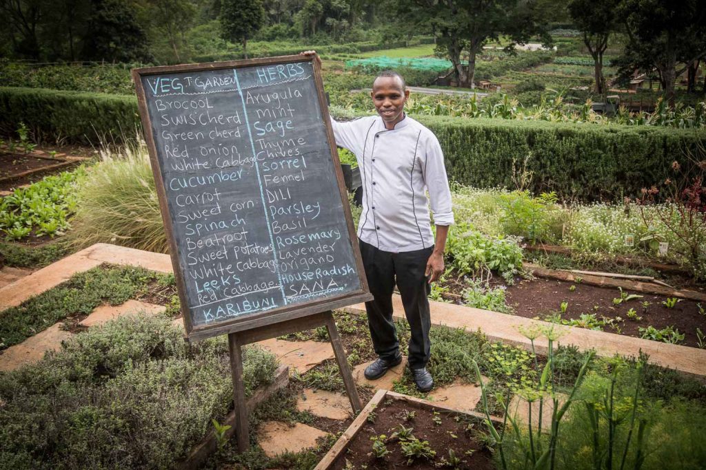 Gibb's Farm Grow your own veggies