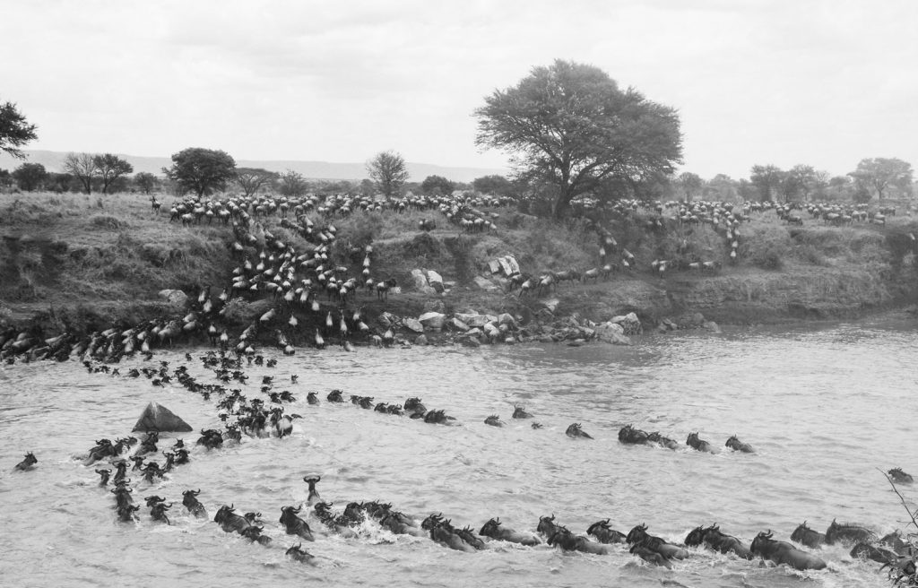 Gibb's Farm - Northern Serengeti Safari