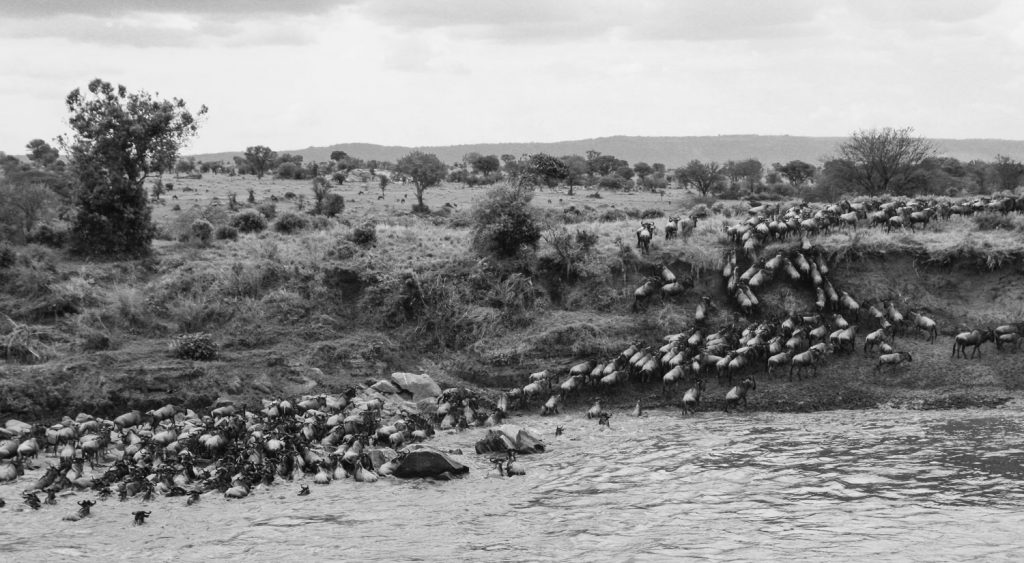 Gibb's Farm - Northern Serengeti Safari