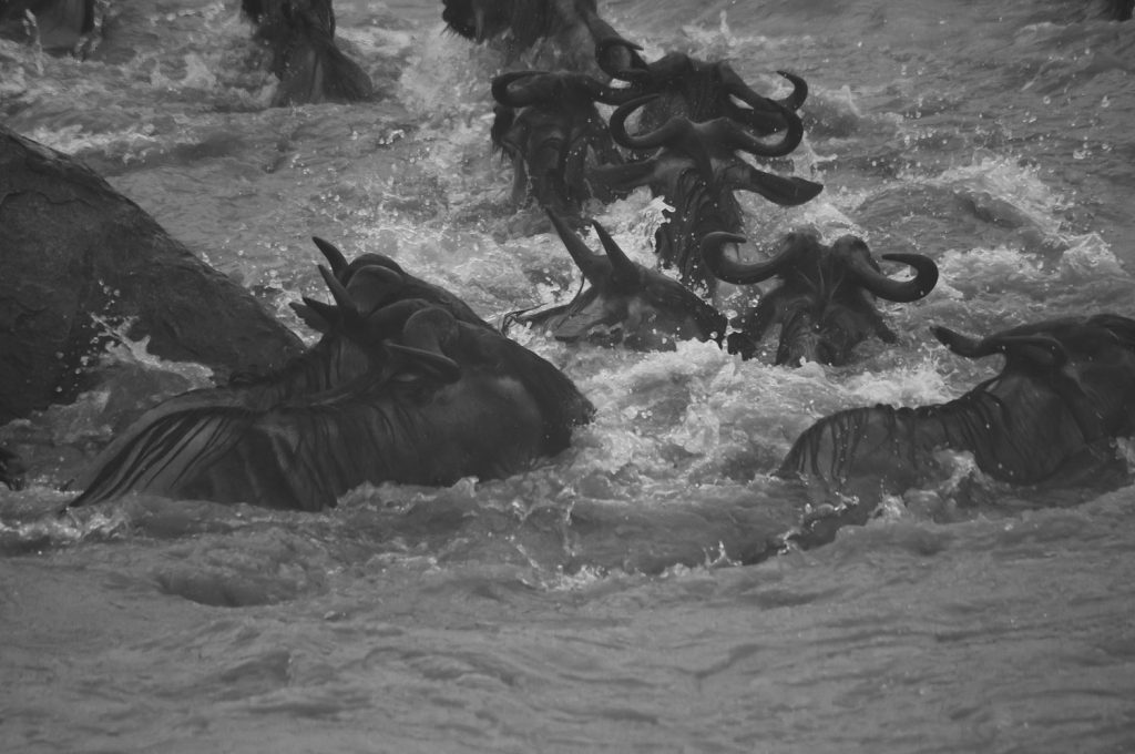 Gibb's Farm - Northern Serengeti Safari