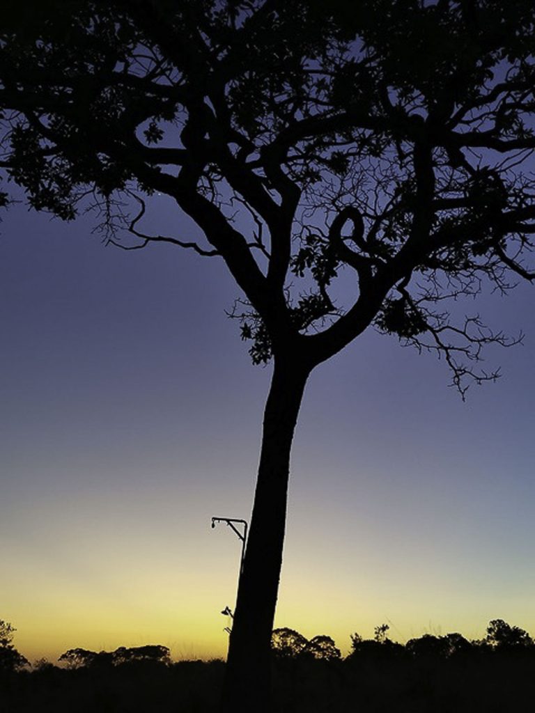 Gibb's Farm - Northern Serengeti Safari