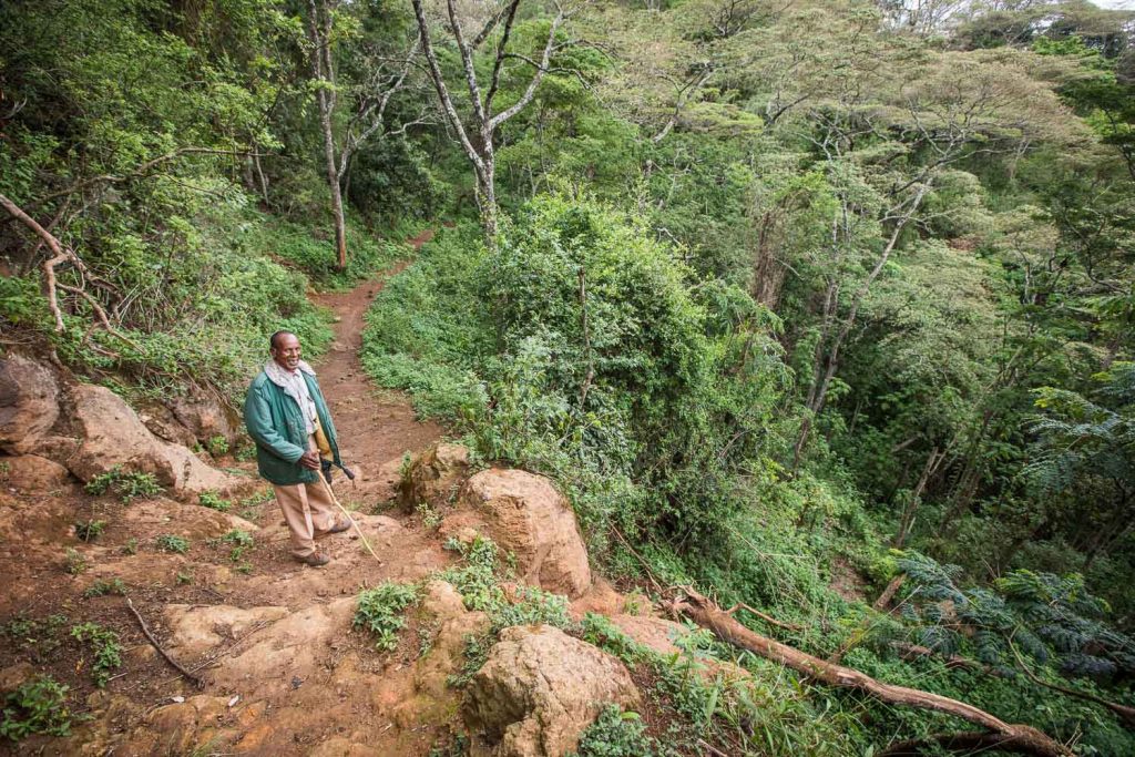 Gibb's Farm - Slow Safari Walks