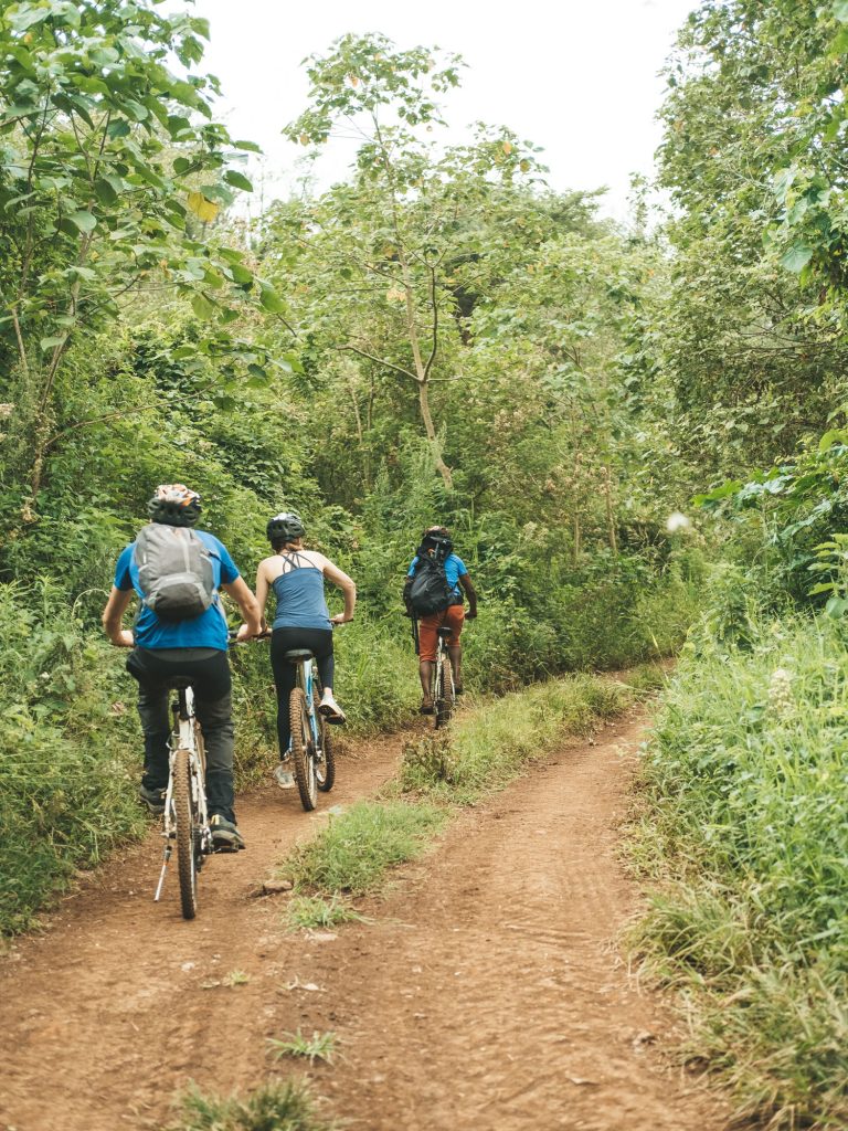 Gibb's Farm - Slow Safari bike trails