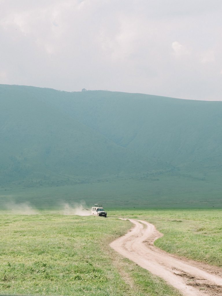 Gibb's Farm - Slow Safari in the Ngorongoro Crater