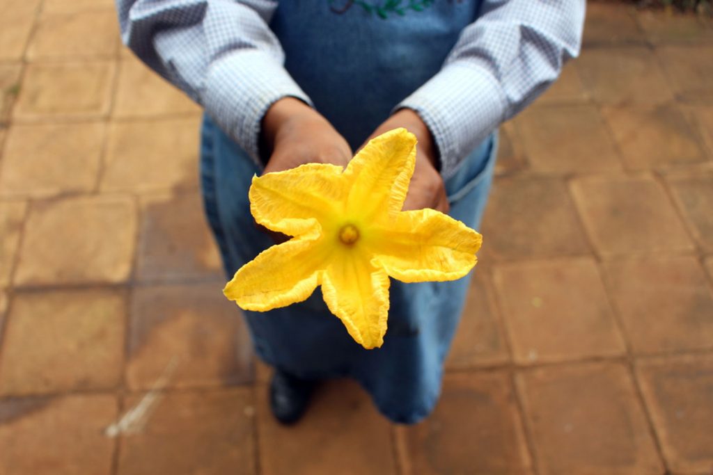 Gibb's Farm Stuffed Pumpkin Flowers