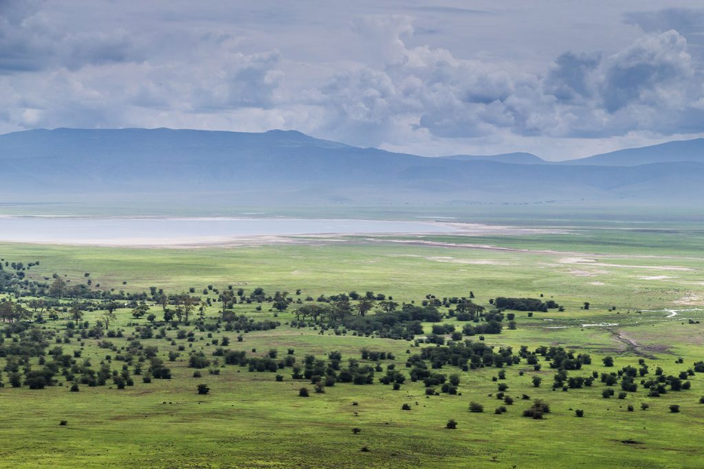 Gibb's Farm - Ngorongoro crater safari