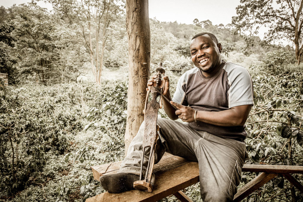Gibb's Farm - Artist in residence