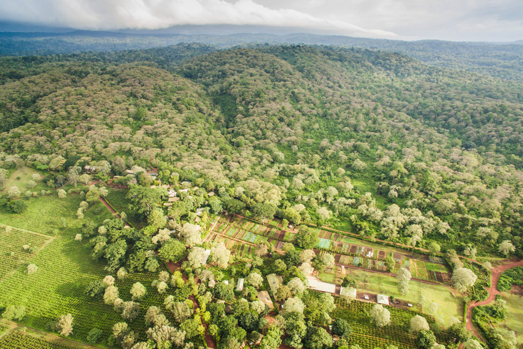 Gibb's Farm - Tanzania coffee plantation accommodation