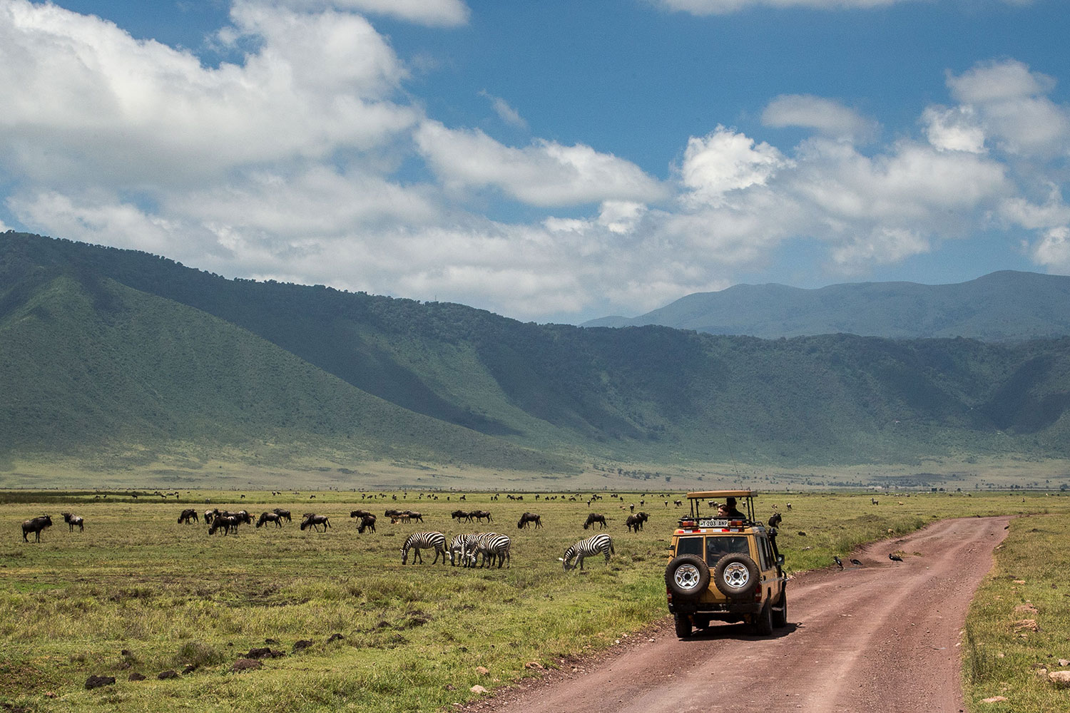 Ngorongoro Crater  - Reasons Why You Should Visit Ngorongoro Crater