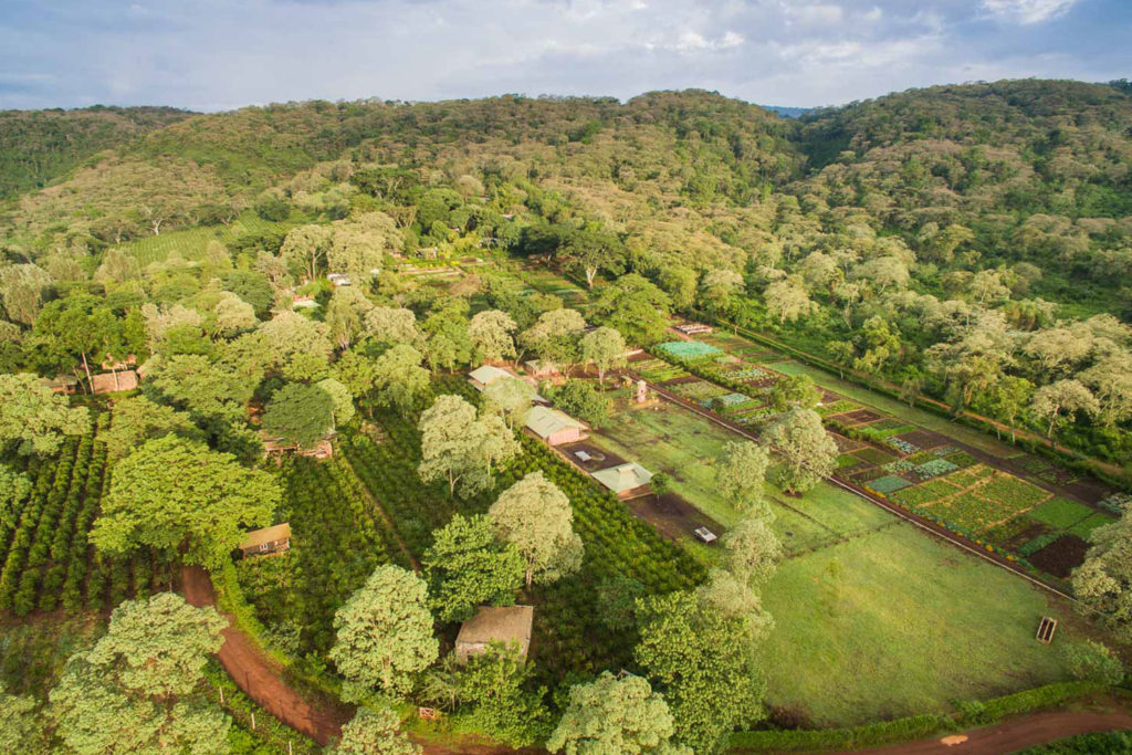 Gibb's Farm - Best accommodation in Tanzania