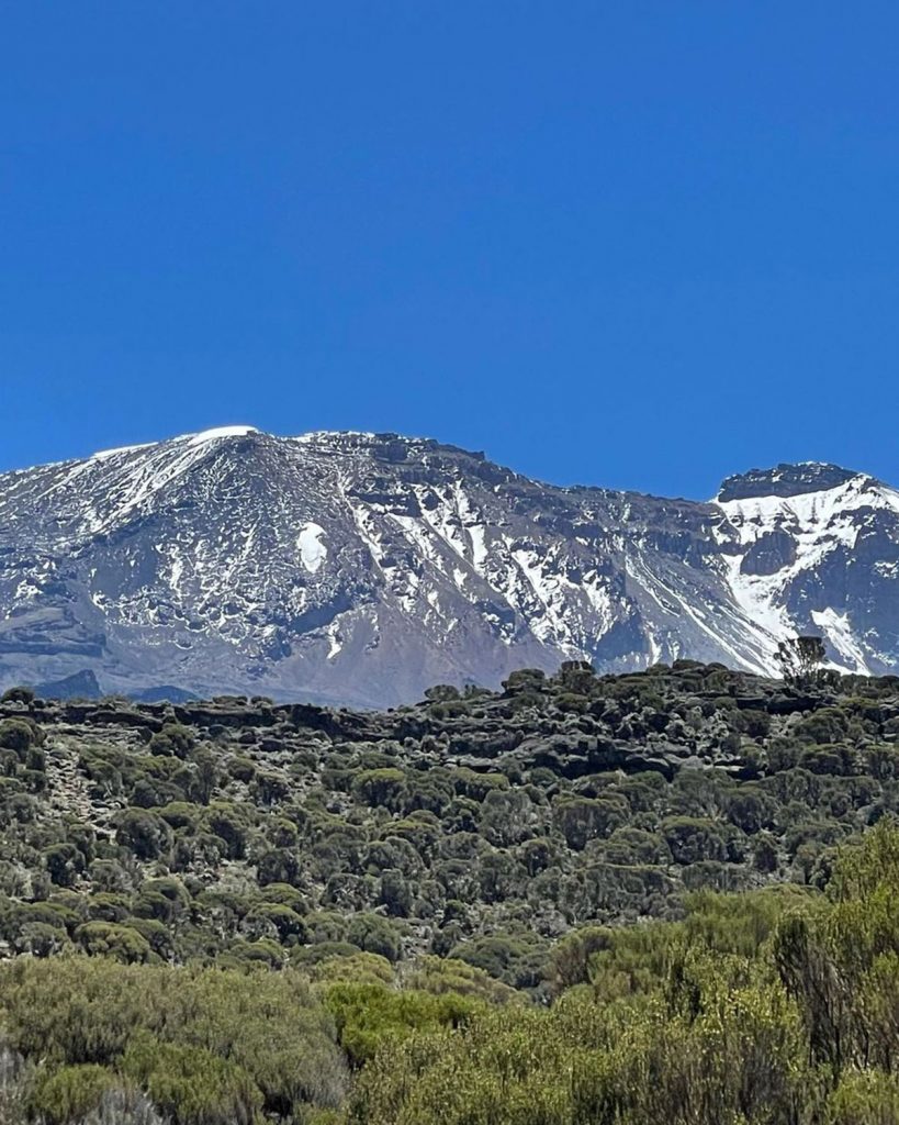 Kilimanjaro landscape