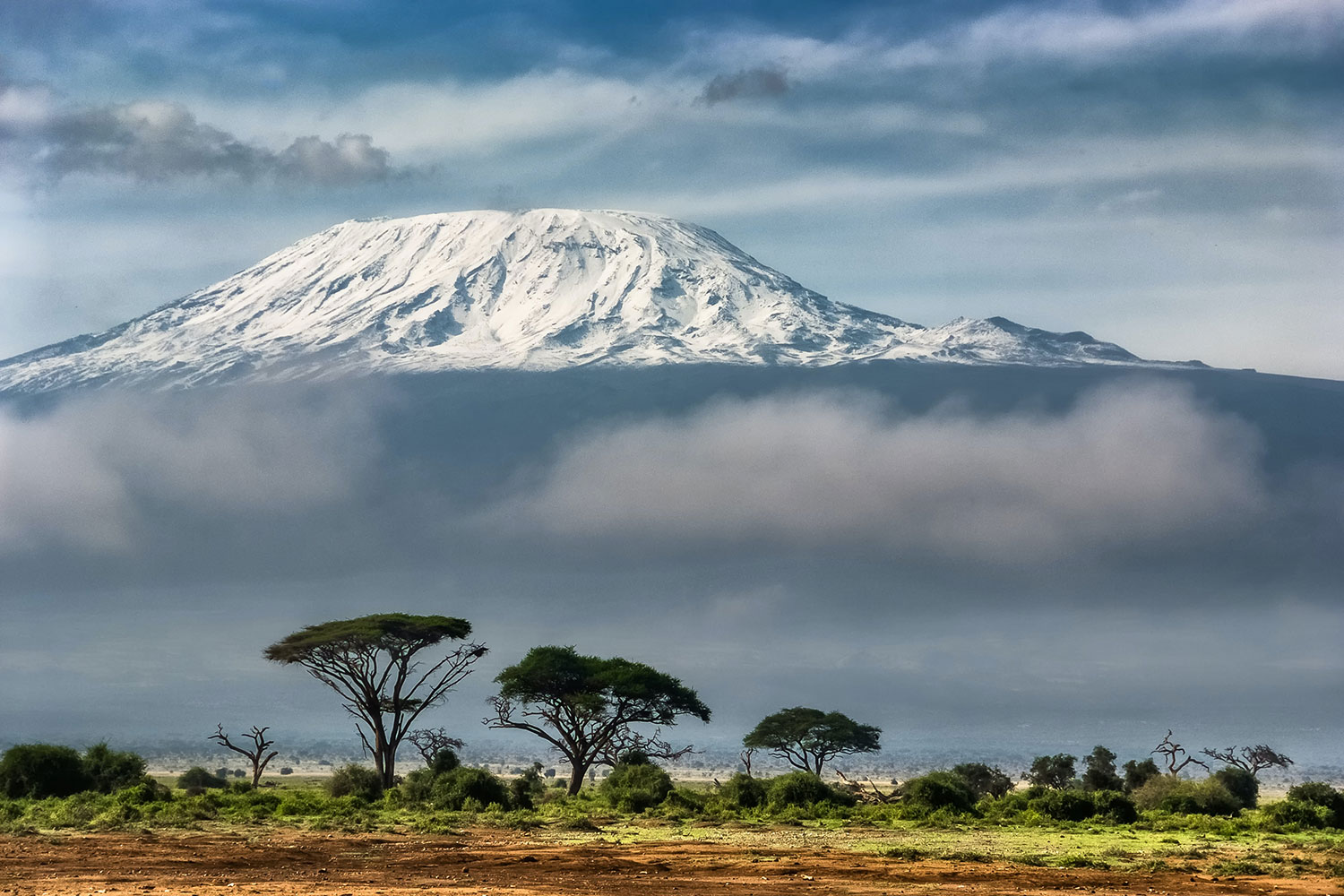 Gibb's Farm managers, Nick and Sally fulfilled a life-long dream of summiting Mount Kilimanjaro - and they did just that! Learn more about their experience