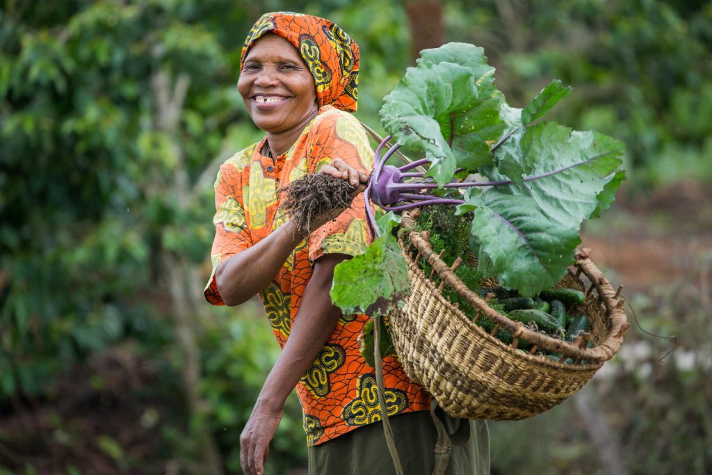 Gibb's Farm - Organic fruits and vegetables