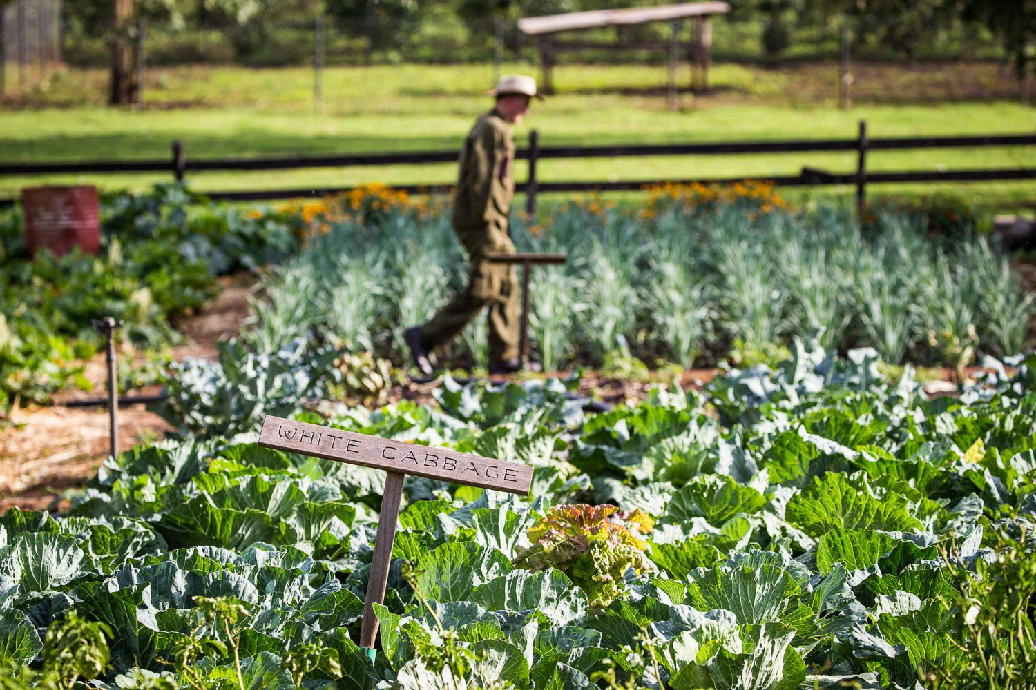 Our food philosophy is founded on farm fresh, organic cuisine prepared daily right here on the property.