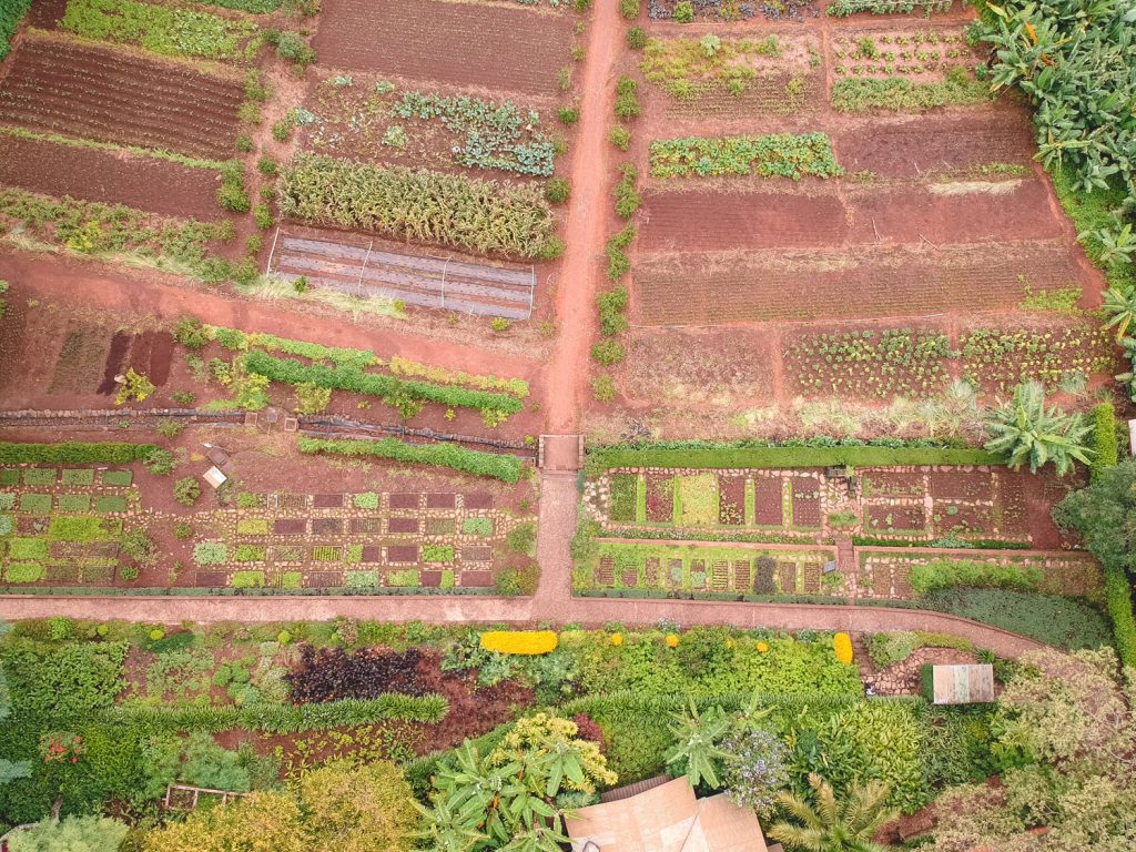 Gibb's Farm - Farm fresh dining and organic produce