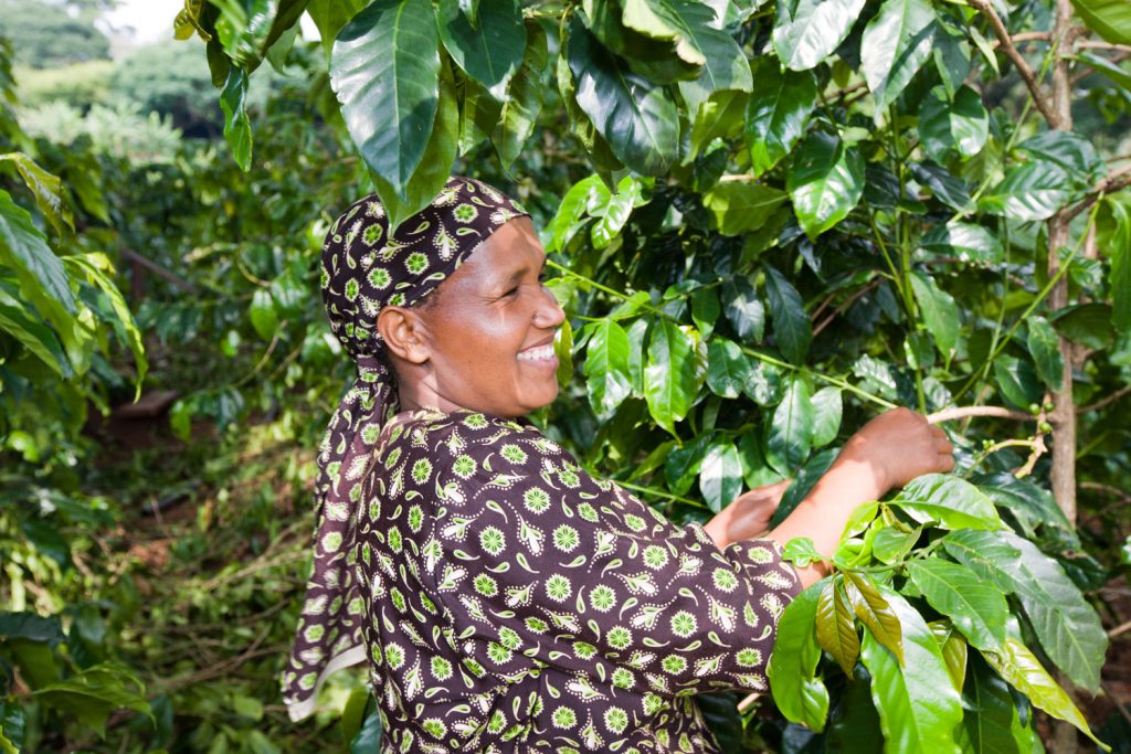 Gibb's Farm - International Women's Month