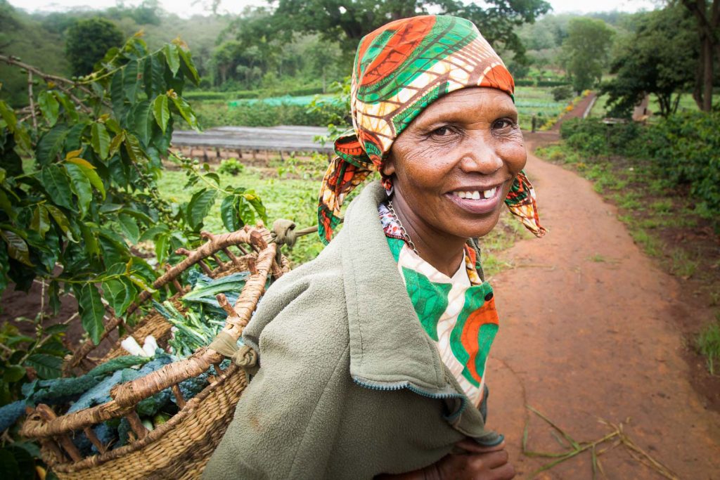 Gibb's Farm - International Women's Month