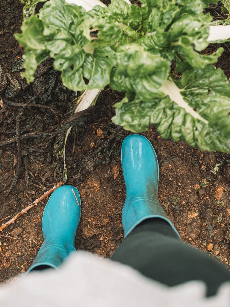 Gibb's Farm Grow your own