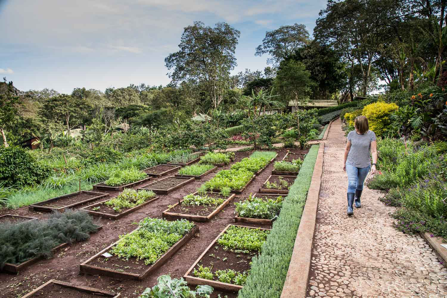 Growing your own food is very rewarding. There is nothing quite as delicious as crops fresh from a garden that you have grown.