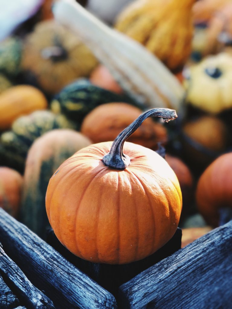 Gibb's Farm - Pumpkin Soup for Thankgiving