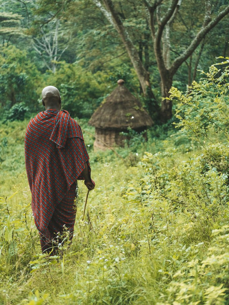 Gibb's Farm - Slow Safari medicinal walks