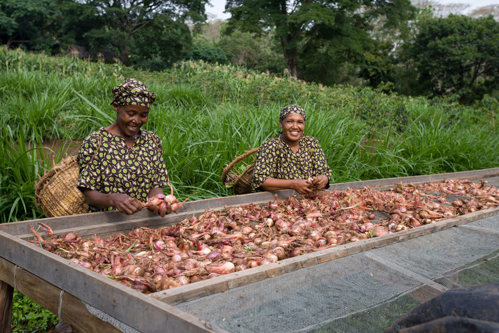 Gibb's Farm - Sustainability projects in Tanzania