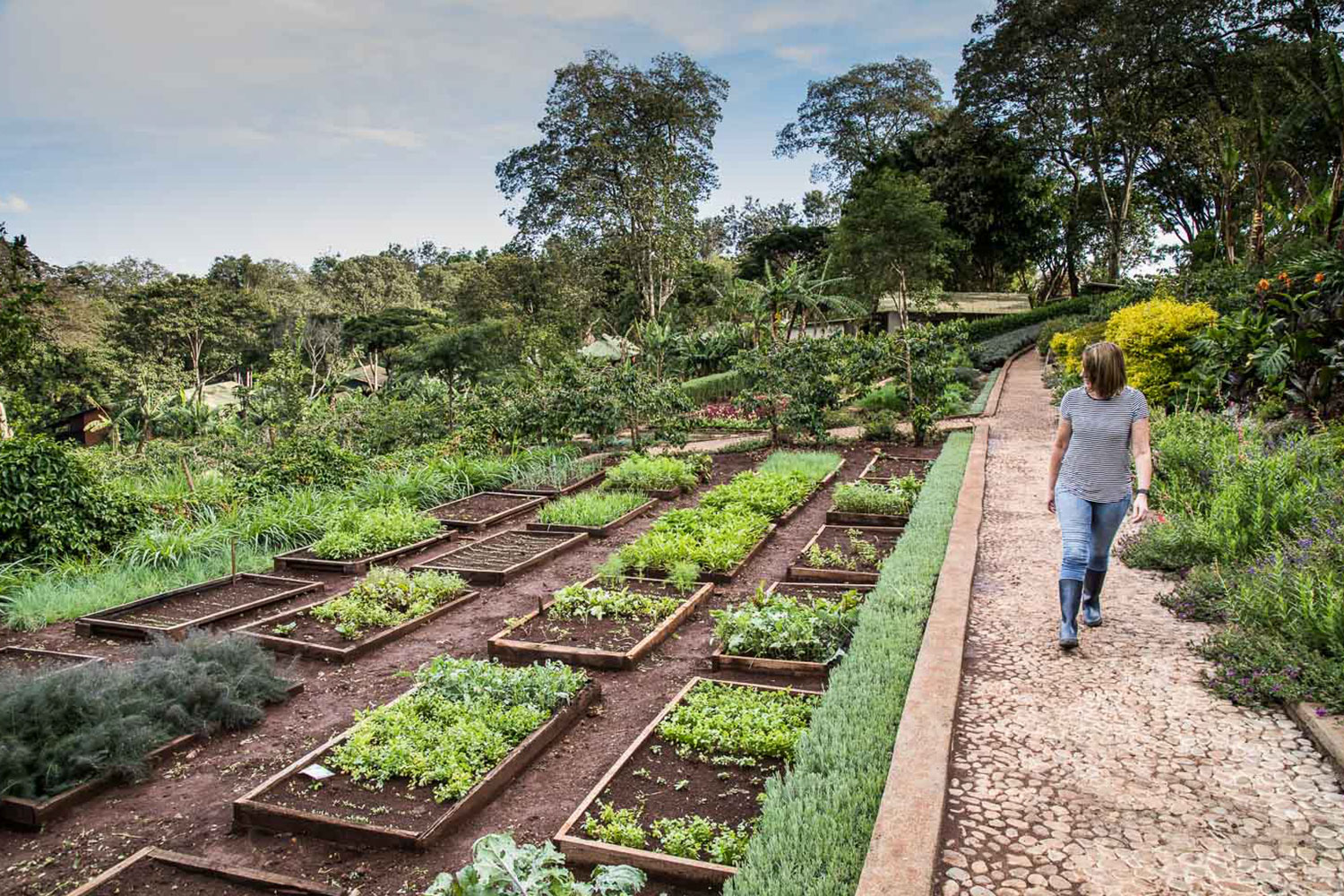 Our farm is a model for sustainable and respectful practices