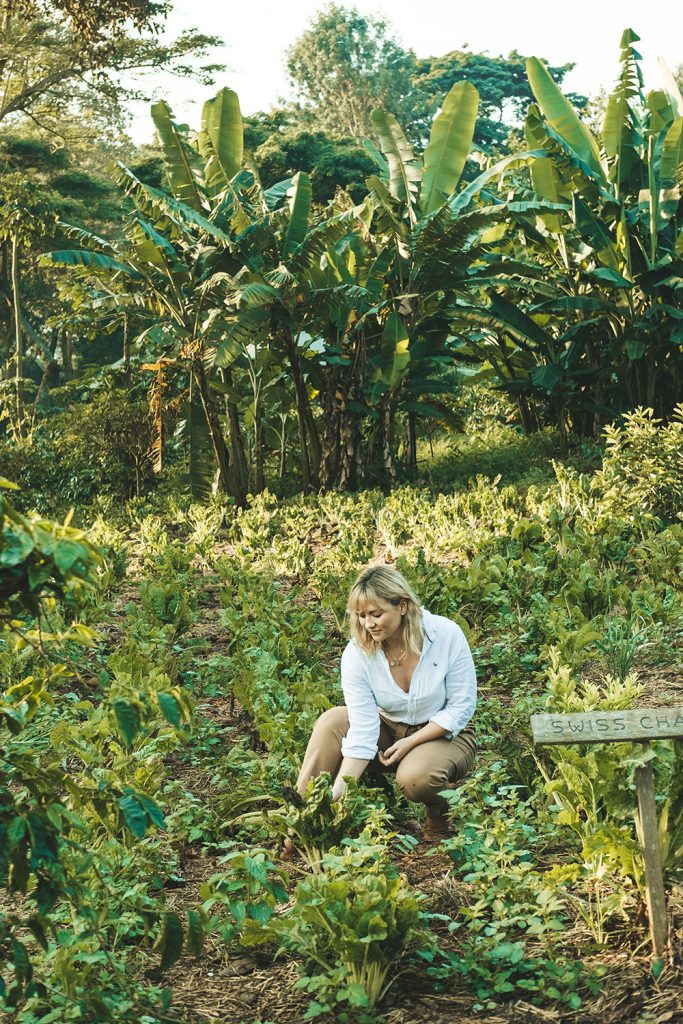 Gibb's Farm Top travel and tourism trends in 2023