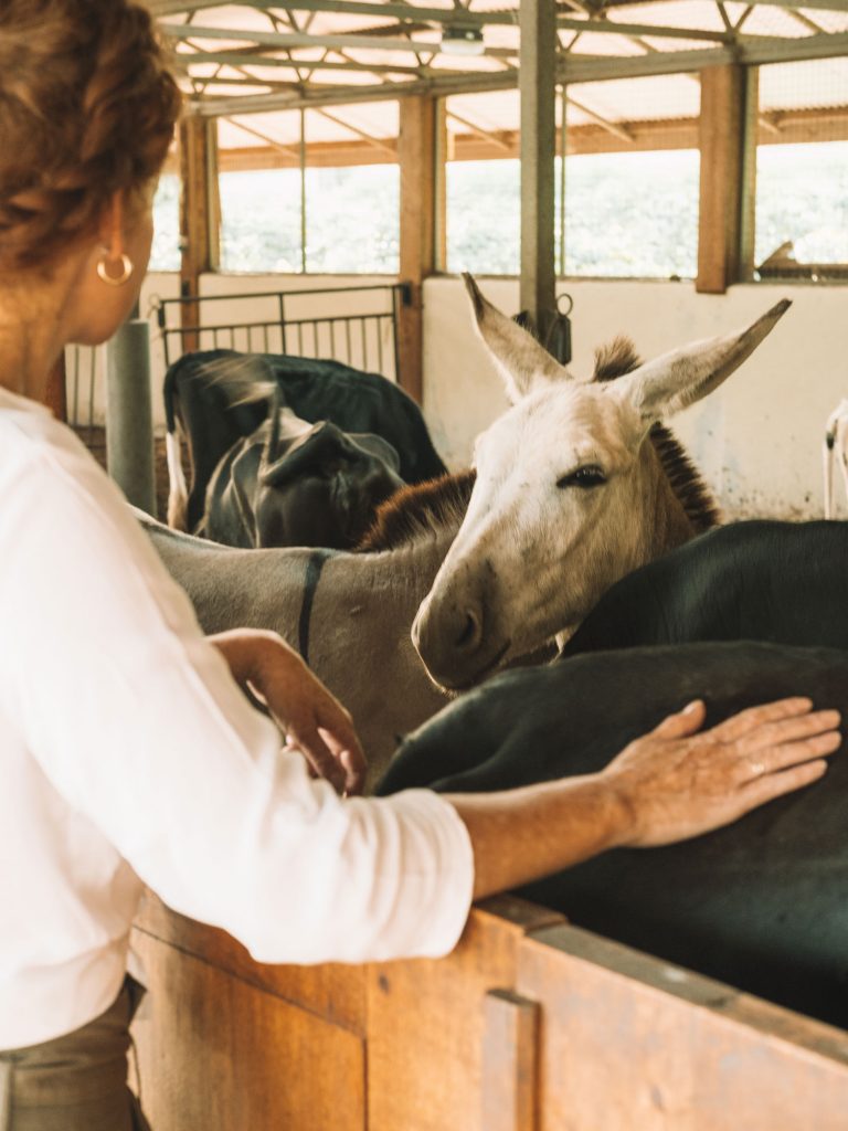 Gibb's Farm - World Mental Health Day