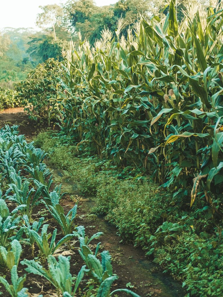 Gibb's Farm Rethinking Tourism on World Tourism Day