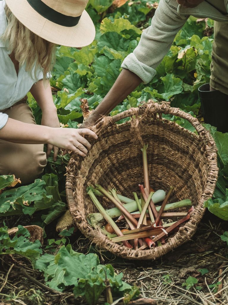 Gibb's Farm Rethinking Tourism on World Tourism Day